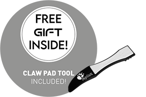 Rupes DA Polishing Kit Fine Yellow 150mm