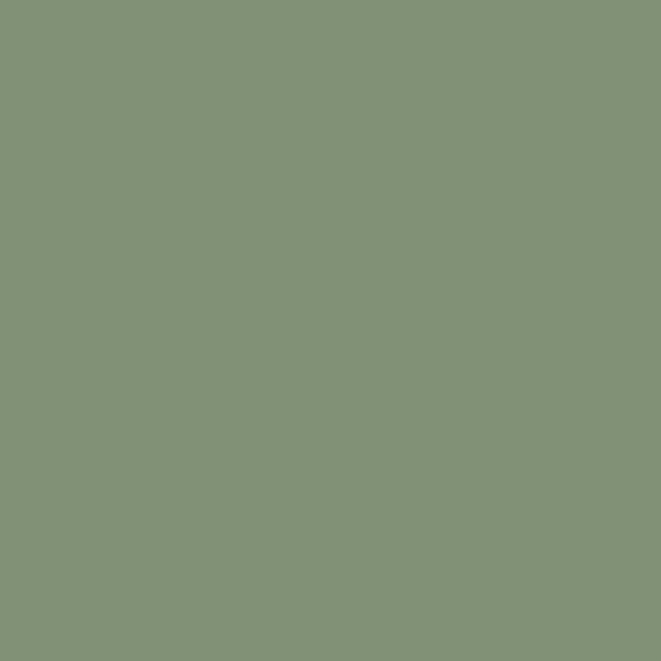 RUST-OLEUM Camouflage Spray Paint Flat Army Green 340g 3 Pack