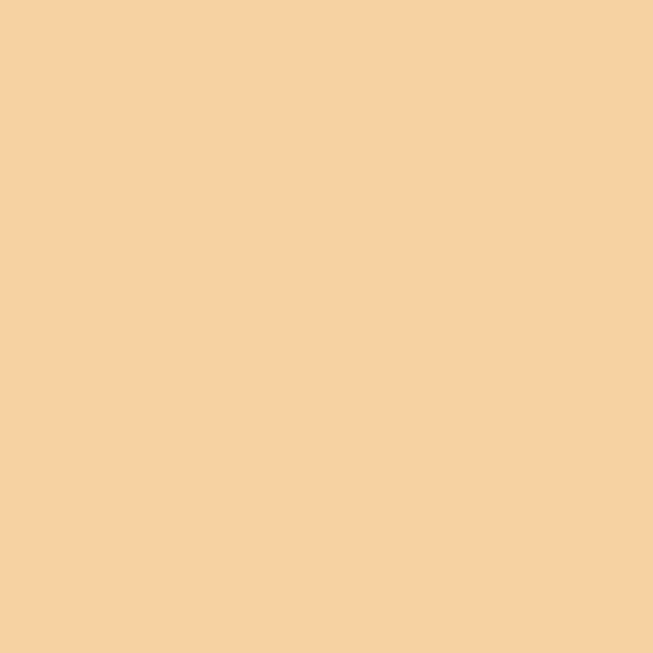 NORGLASS Weatherfast Marine Premium Enamel 1L Sandstone High Gloss