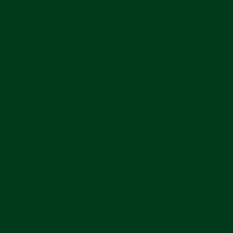 NORGLASS Weatherfast Marine Premium Enamel 1L Vintage Green High Gloss
