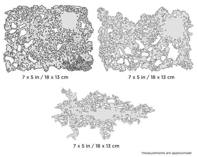 Iwata Artool Texture FX Mini Series Airbrush Template Design